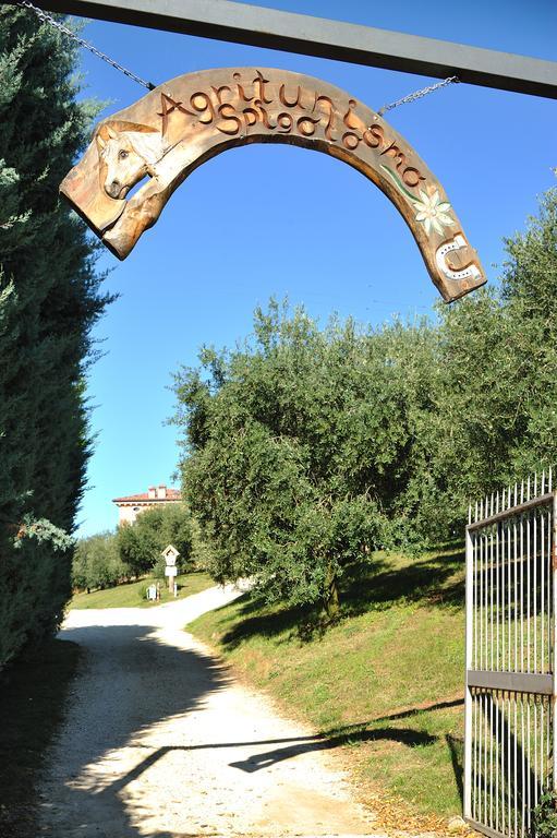 Agriturismo Spigolo Avesa Eksteriør bilde