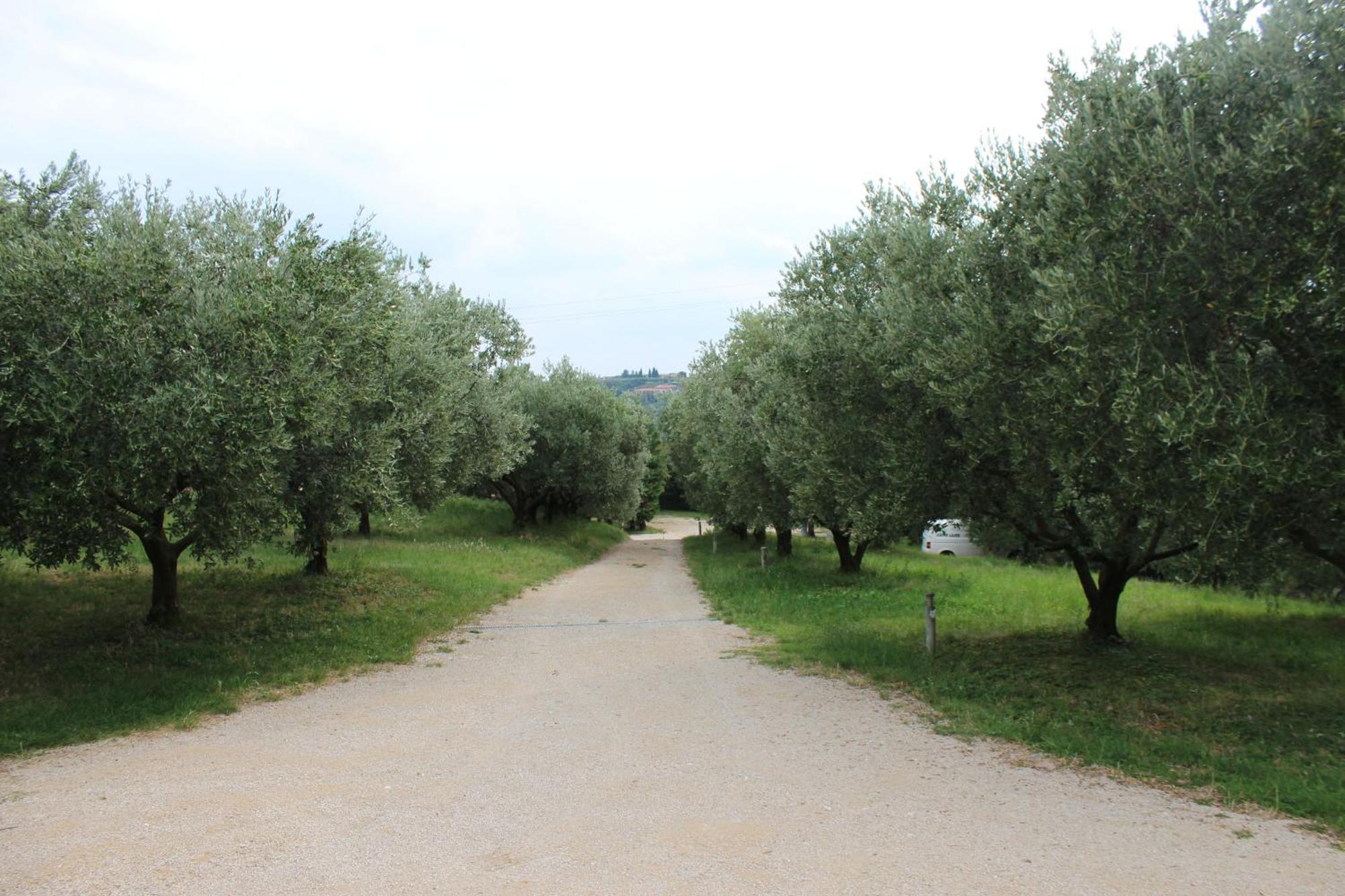 Agriturismo Spigolo Avesa Eksteriør bilde