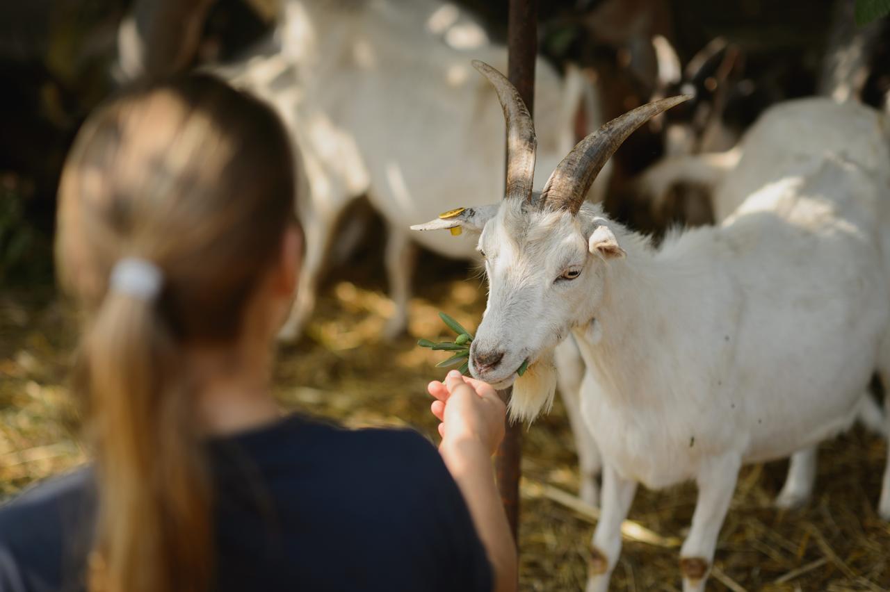 Agriturismo Spigolo Avesa Eksteriør bilde