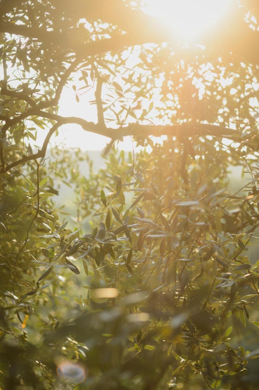 Agriturismo Spigolo Avesa Eksteriør bilde