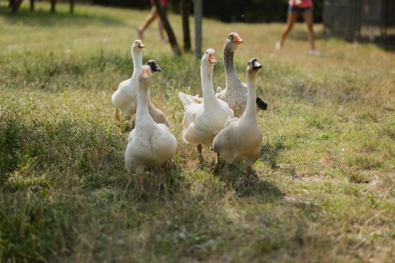 Agriturismo Spigolo Avesa Eksteriør bilde
